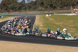 A field of 40 karts took to the track in Junior Max with Thomas Hughes taking pole position and the win in heat one. (Pic: Coopers Photography)